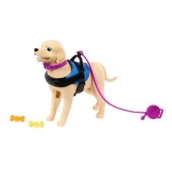 Barbie Inclusión Fashion Doll & Beauty con Silla de Ruedas y Perro Labrador de Servicio