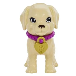 Barbie Latina ONG Adopta un Perrito