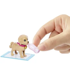 Barbie Latina ONG Adopta un Perrito